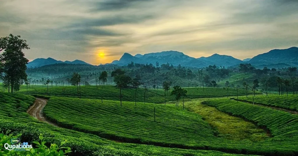 Ooty Trip Captions in English 