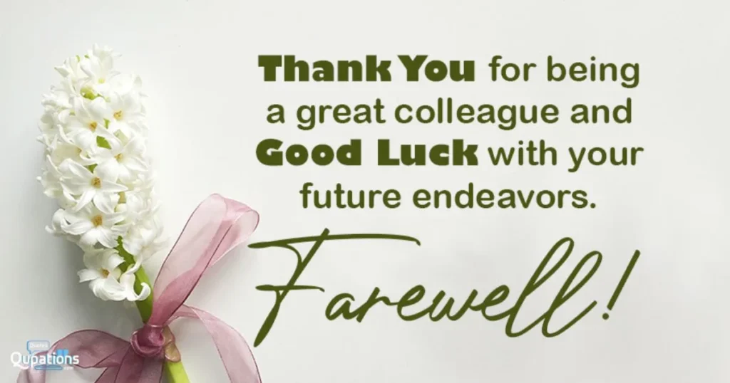 Farewell to Colleagues