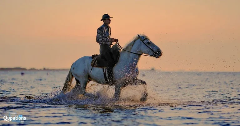 Horse Riding Captions