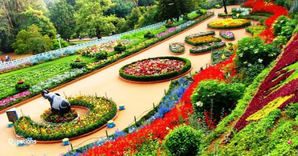 Humorous Captions for Ooty 