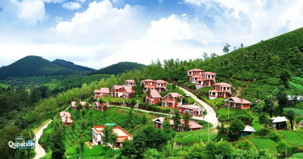 Romantic Captions for Ooty 