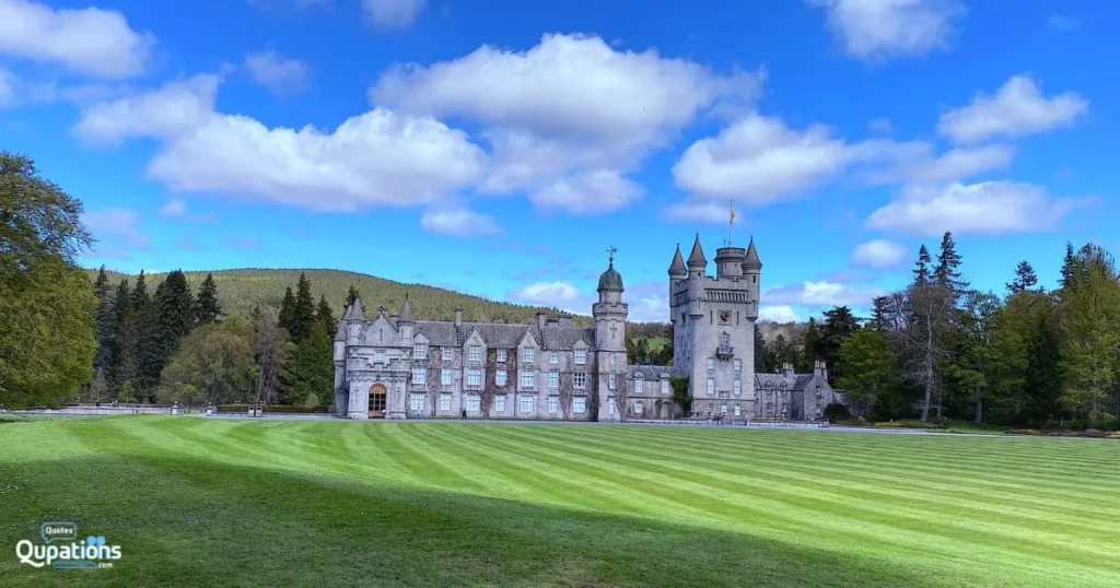 Whimsical Disney Castle 